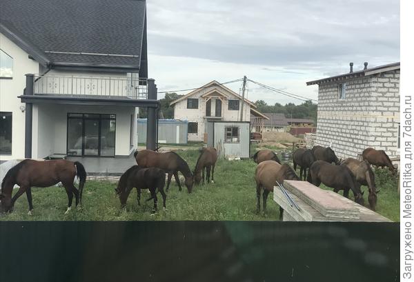 Вид из окна моей кухни😂😂😂