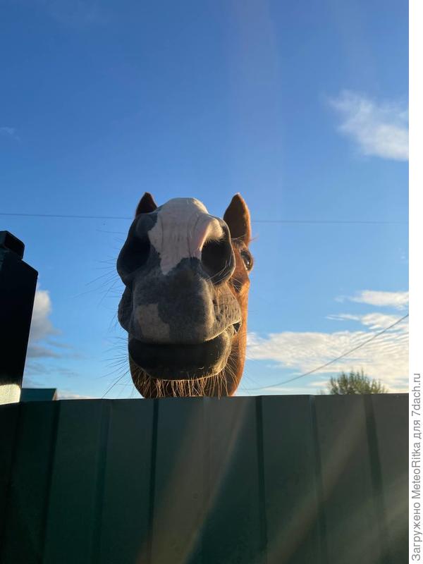 Добрый вечер!😂