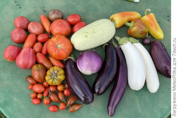 Ну и все подряд что сегодня собрала😍