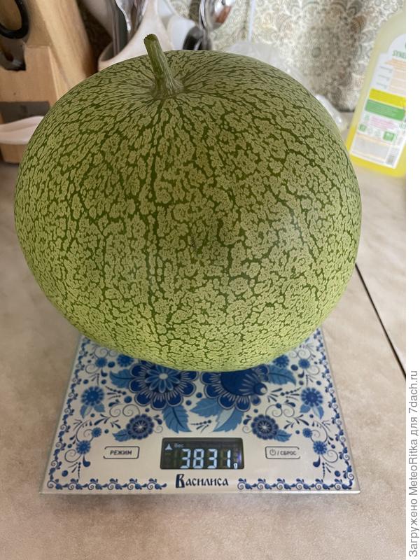 Эльф Уафи . Очень вкусный получился, остается на следующий год обязательно.