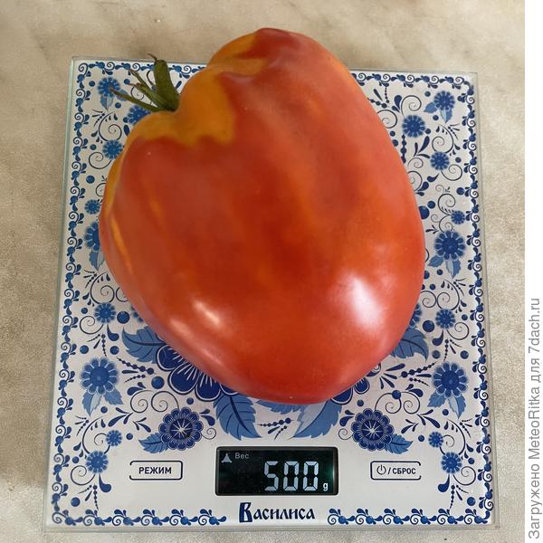 Вова Путин хорош и на вид и на вкус👍