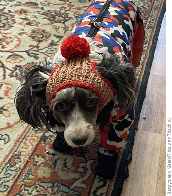 Собралась на прогулку😁