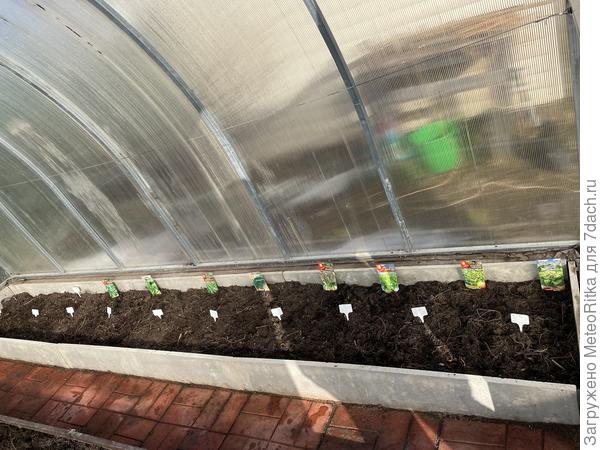 Первые посевы