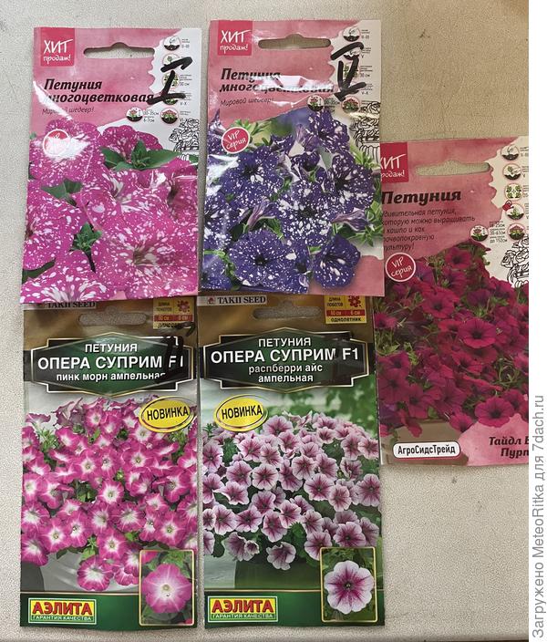 Петунии на этот год