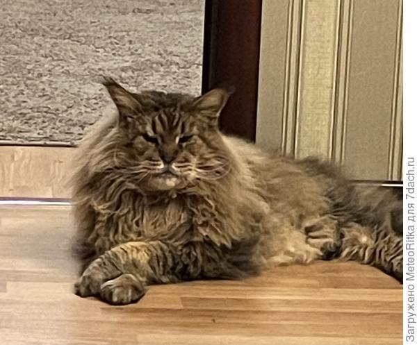 Прототип🤗