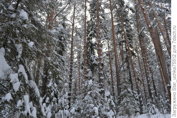 по дороге...