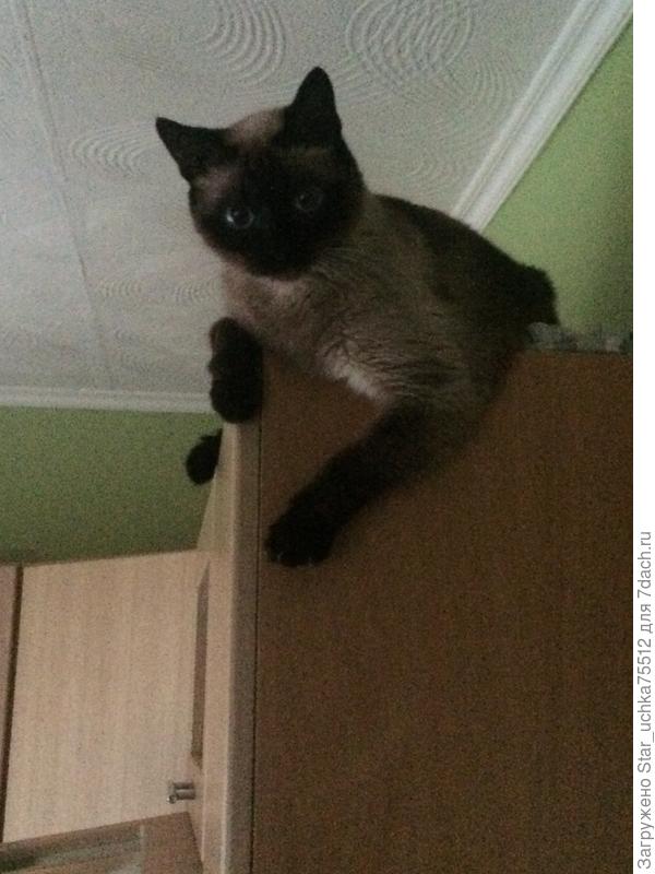 не поеду я на вашу дачу.