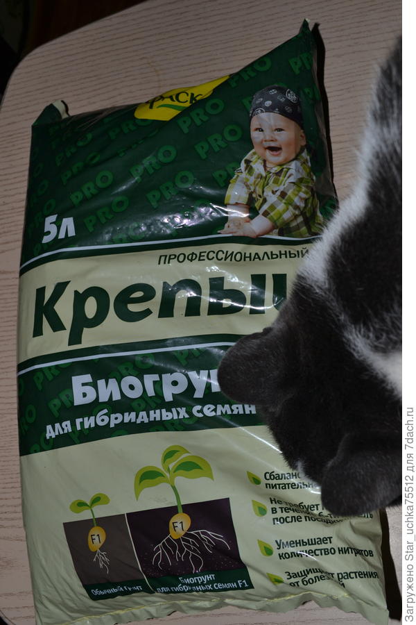грунт