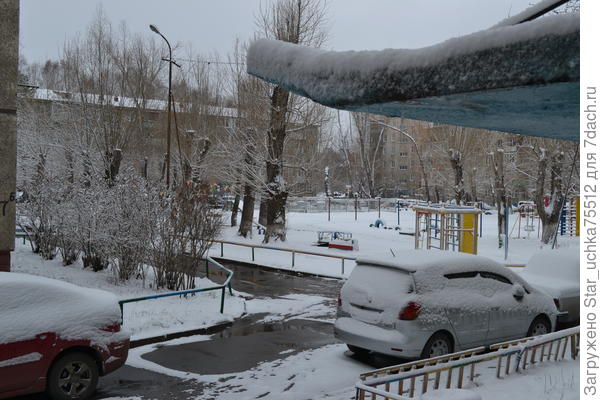 30.04.2019 г. Омск