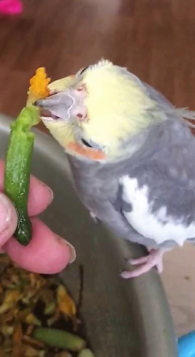 да
