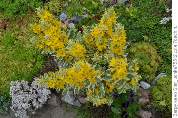 вроде так продавали.