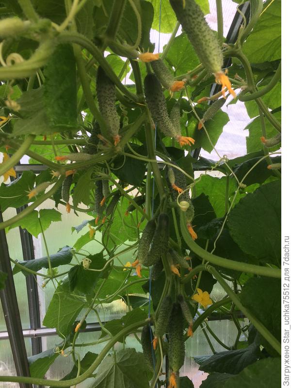 растём и набираем мощь...