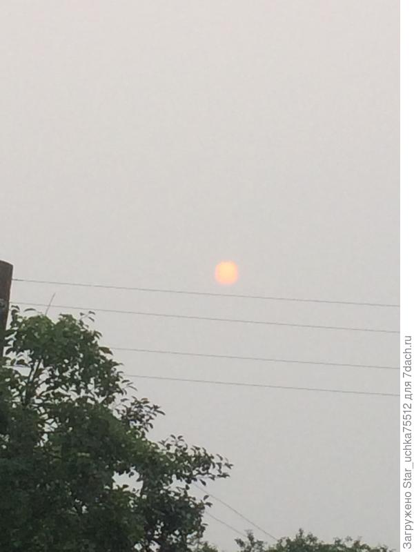 дымка от пажаров