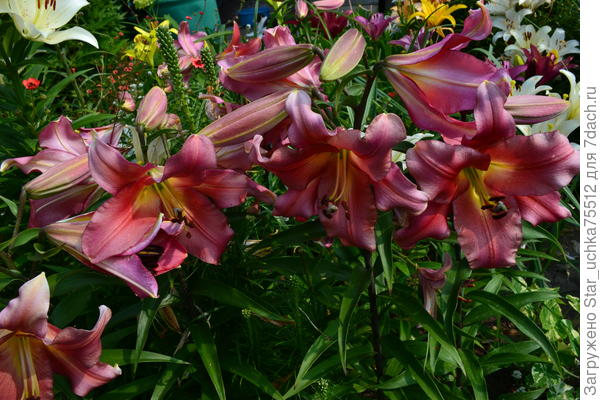 Не знаю названия...