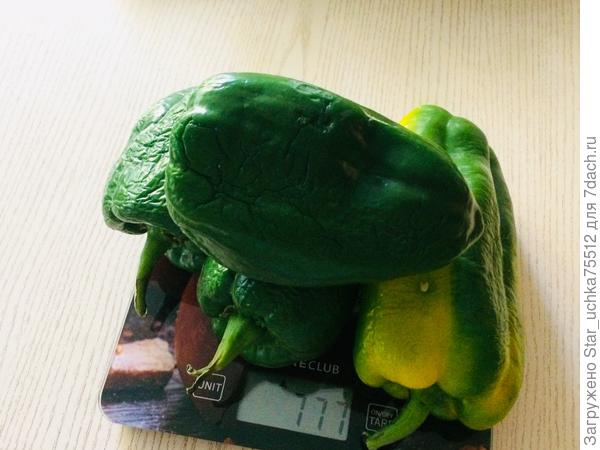 с одного растения