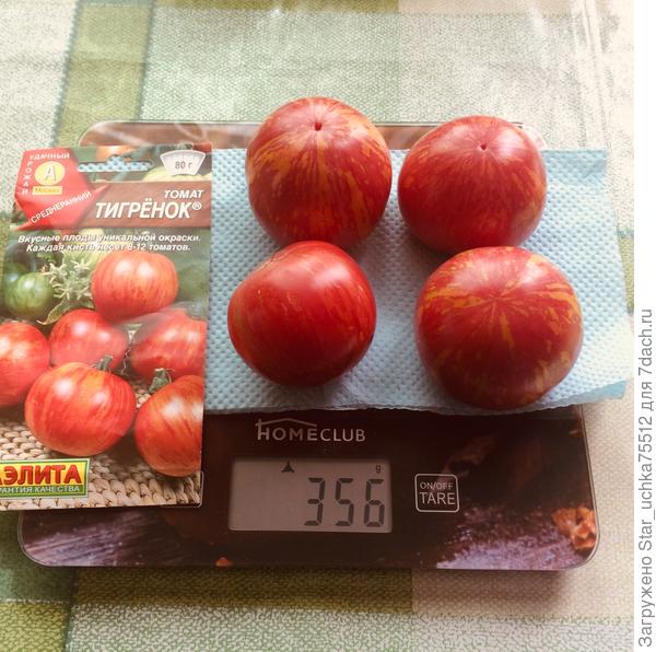 вес