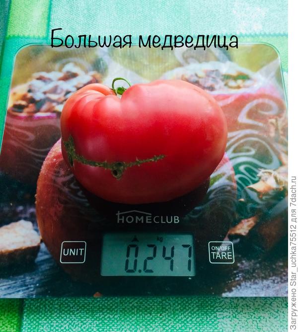 самый первый