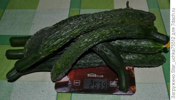 вес