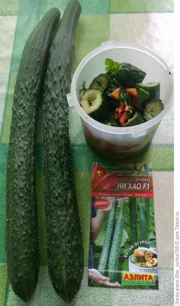 салат