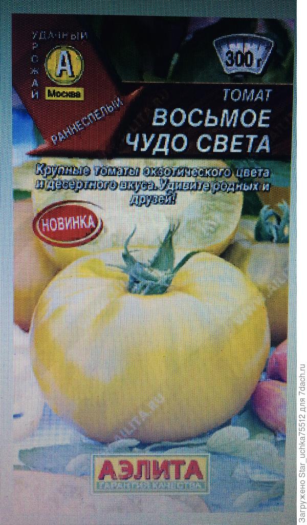 новое