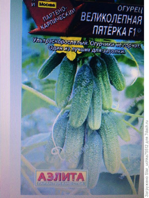 новое..