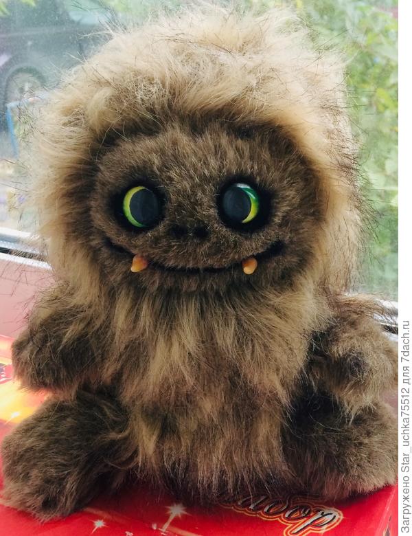 Чудик дочке в новую квартиру...