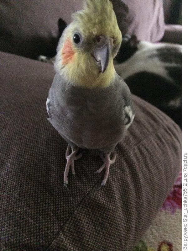 С пламенным приветом  к тебе твой друг Проня!!!