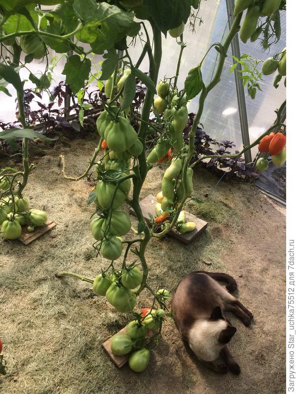 не мешайте мне...