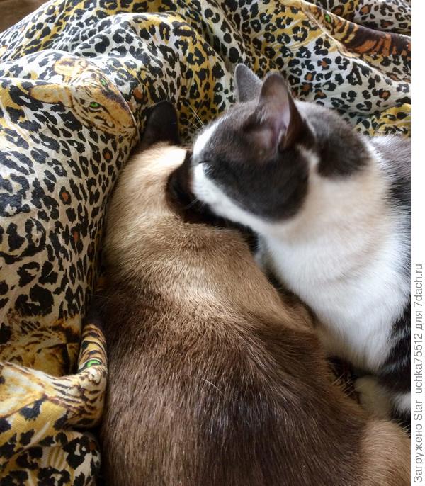 Долго уговаривал свою &quot;зазнобу&quot;ехать....