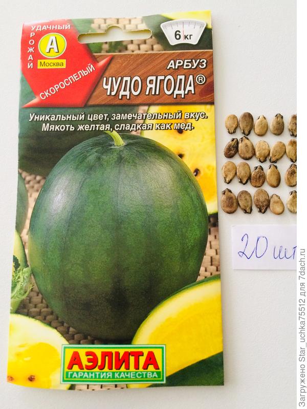 Арбуз