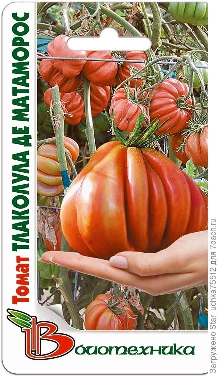 почти братья?