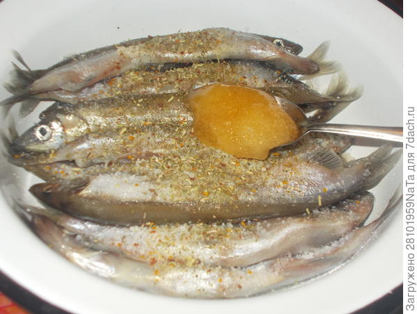 засаливаю мойву с медом