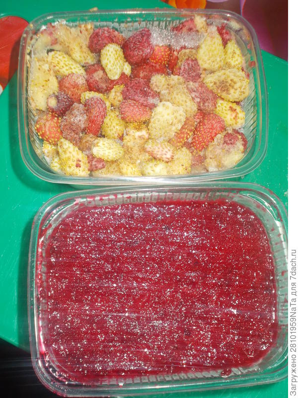 замороженные ягоды