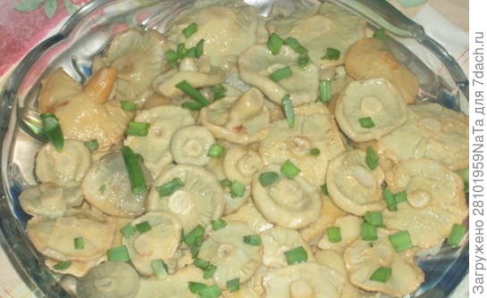 грибы соленые