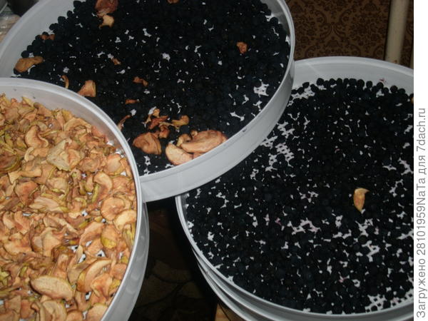 сушим в электросушилке