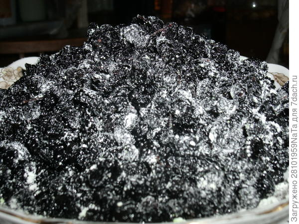 Сушеная арония