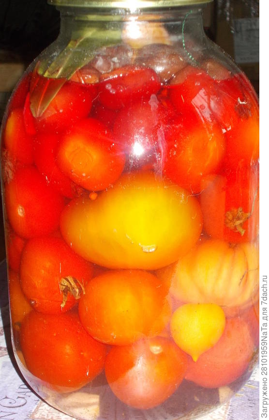 томаты в собственном соку
