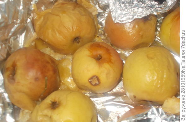 запекаем яблоки