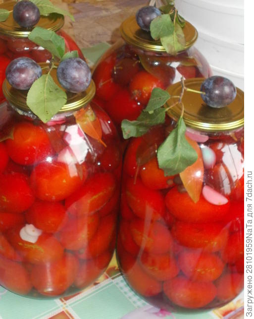 маринованные томаты со сливой