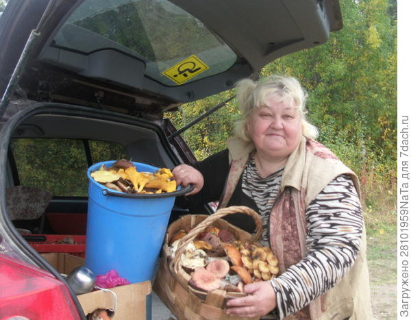 грибы-грибочки