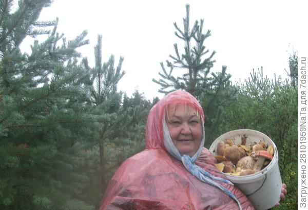 и дождь не помеха