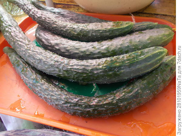 &quot;КИТАЙЦЫ&quot;