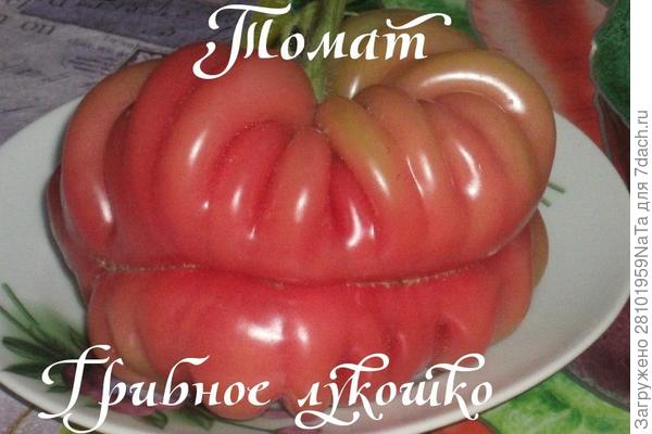 грибное лукошко