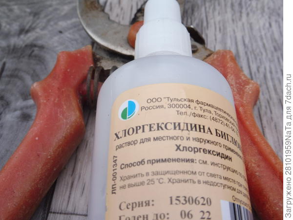 для обеззараживания