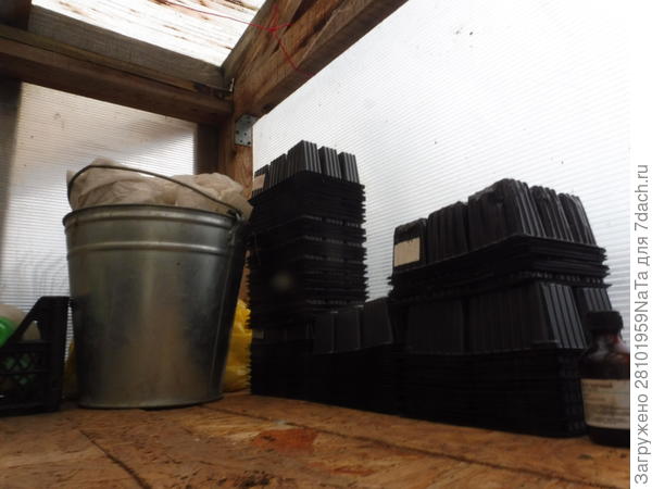 тара для рассады