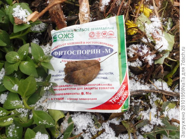Обрабатываем компост Фитоспорином