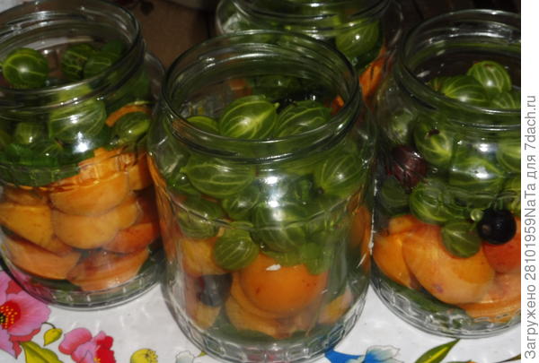 заготовки с крыжовником