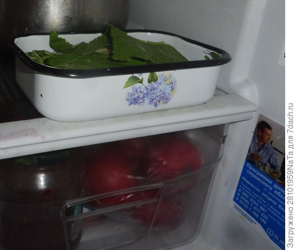 ставим в холодильник