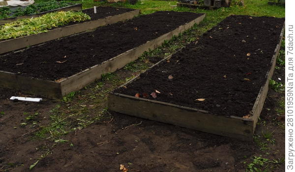 Грядка для чеснока