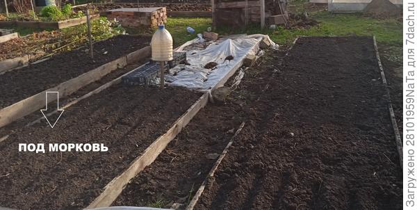 Под морковь